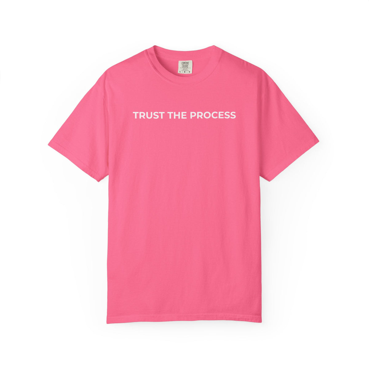 Simple Truth T-Shirt - TRUST THE PROCESS